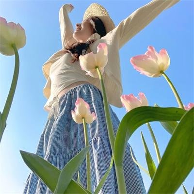 李佩西与五大王国的守护者